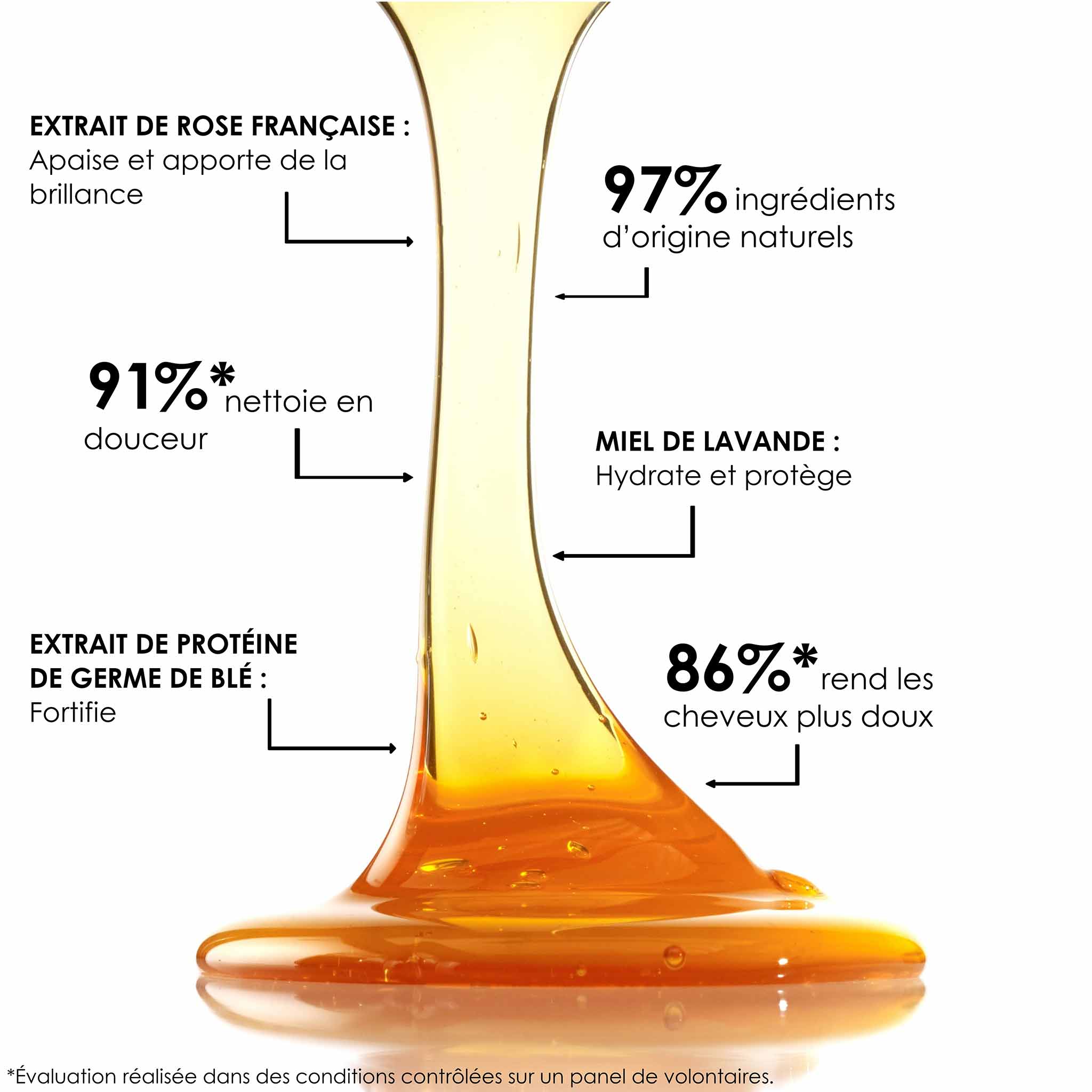 SHAMPOOING AU MIEL