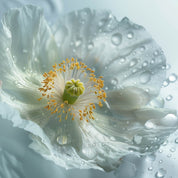 VOLUFORME